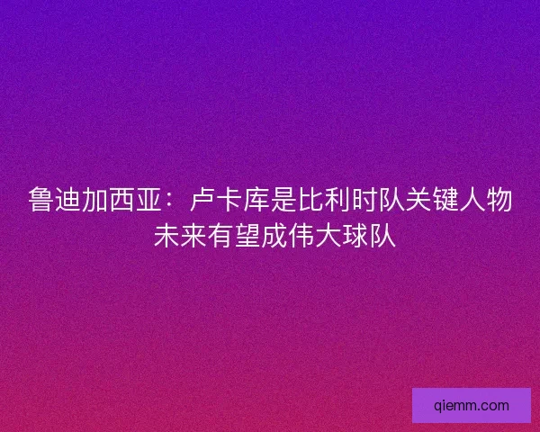 鲁迪加西亚：卢卡库是比利时队关键人物 未来有望成伟大球队