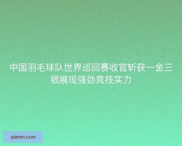 中国羽毛球队世界巡回赛收官斩获一金三银展现强劲竞技实力
